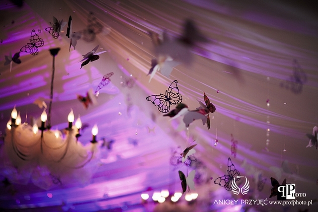 Anioły Przyjęć | Organizacja wesel | Motylowe wesele 7